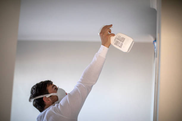 Best Mold Removal Process  in Clinton, NC